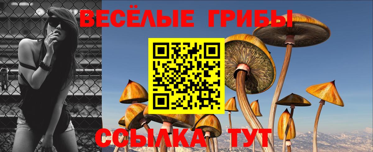 Галлюциногенные грибы Psilocybine cubensis  Вход с VPN  Ржев 